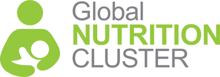 UNICEF Global Nutrition Cluster